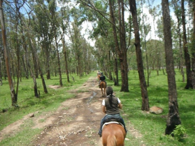 Rutas a caballo